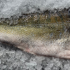 Värske kohafilee nahaga (1kg)