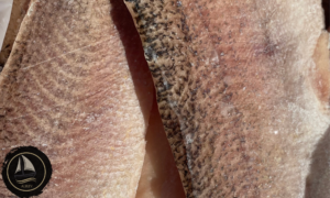 Külmutatud haugifilee 400gr jaepakendis (tk)