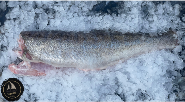 Värske koharümp (1kg)